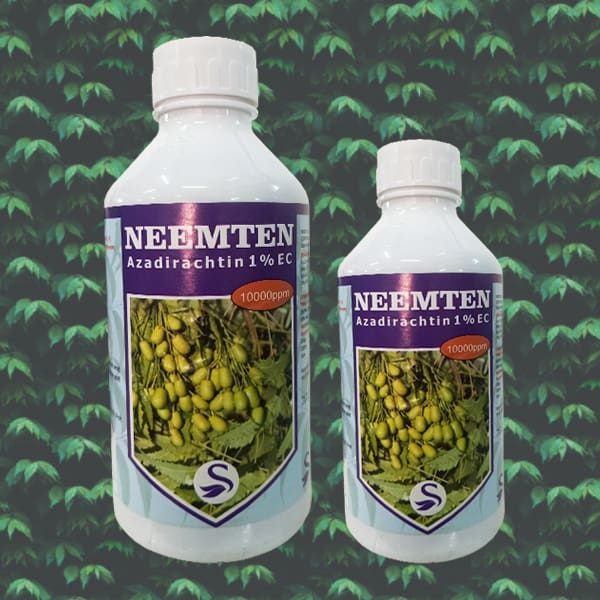Neemten Neemten
